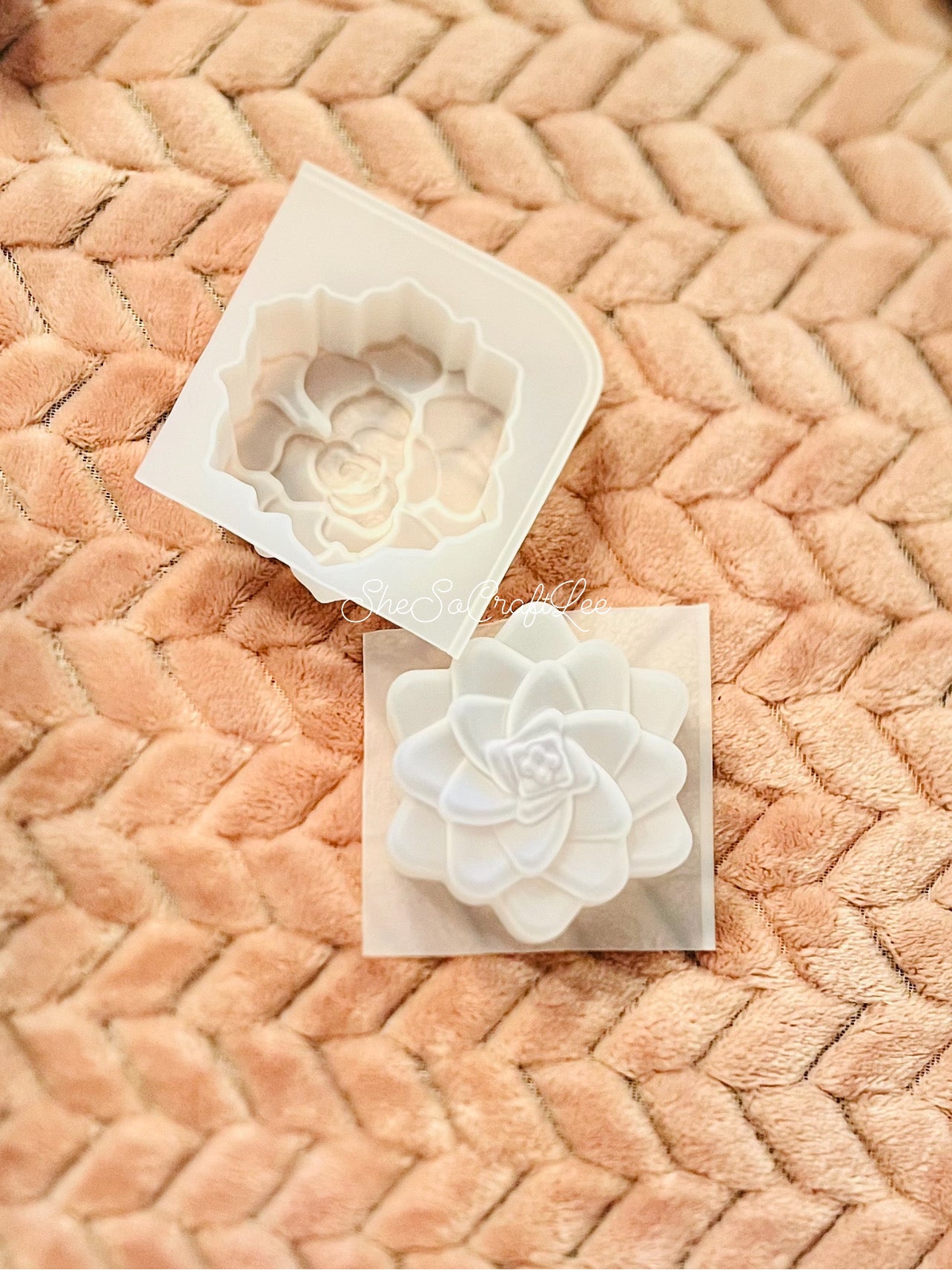 Rose or Succulent Freshie
