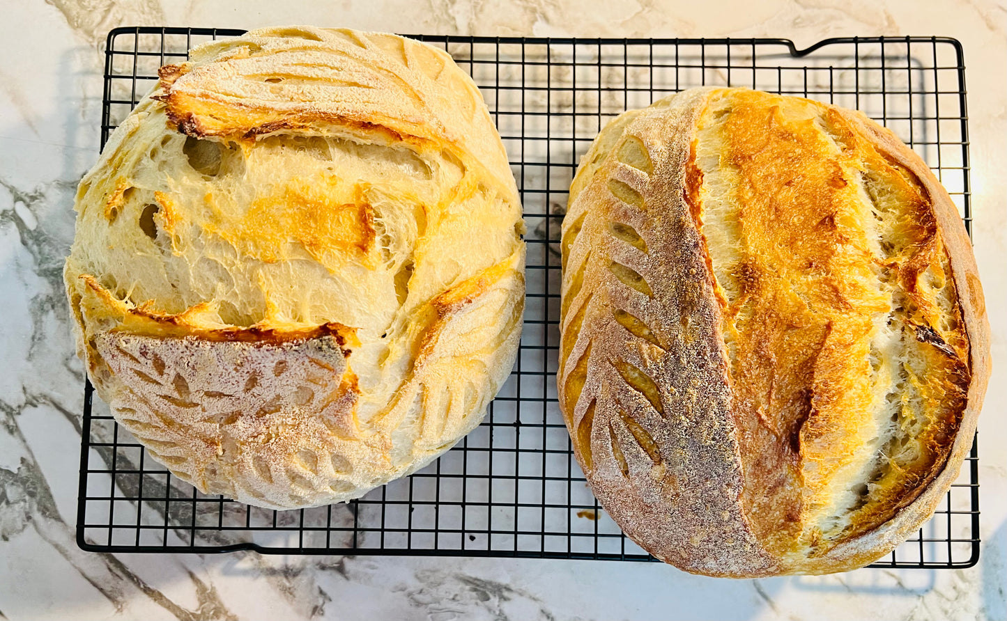 Classic Sourdough